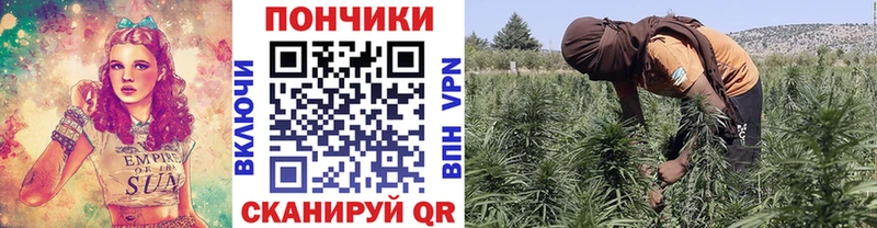 Виды наркотиков купить Беломорск АМФ  ГАШИШ  Alpha-PVP 