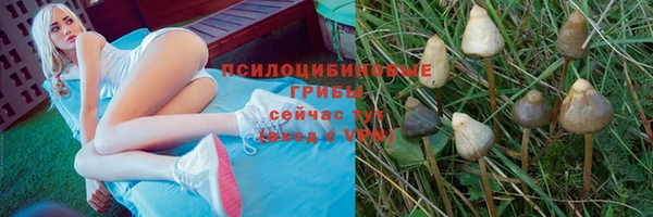 MDMA Богданович