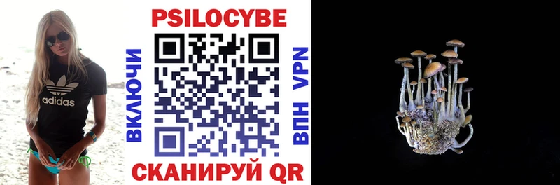Галлюциногенные грибы Psilocybe  Беломорск 