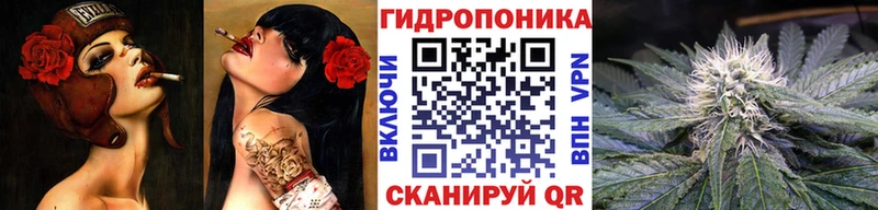 Конопля гибрид  Беломорск 